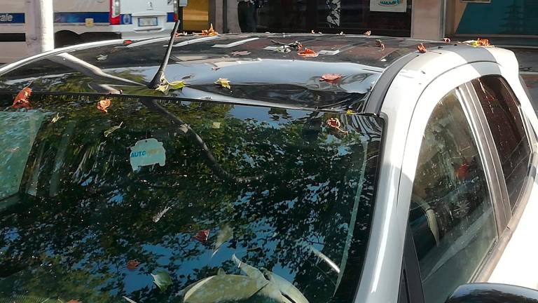 Maltempo nel cesenate: condominio “sbucciato” dal forte vento FOTOGALLERY