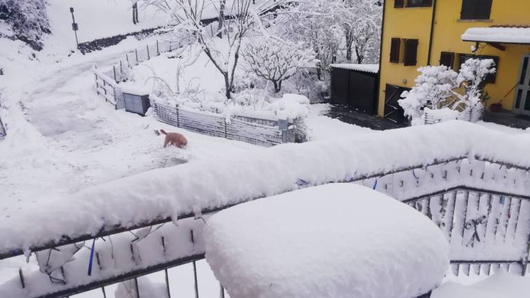 Meteo, è tornata la neve sulla valle del Savio e Campigna - Gallery