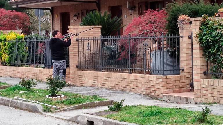 Il veterinario lo ha anestetizzato e messo al sicuro