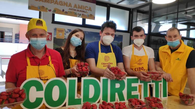 Forlì, la Coldiretti: Contro i rincari, viva la spesa sostenibile di Campagna Amica