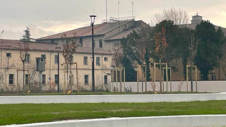 Ravenna, primi alberi nel parco dell’ex Caserma