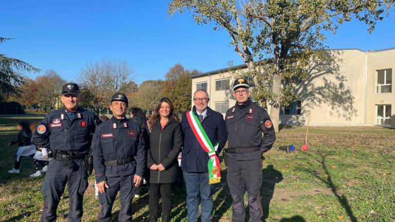 Festa dell'albero: le iniziative a Ravenna, Brisighella, Cervia e Bagnacavallo