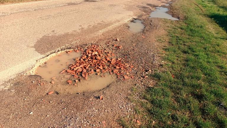 Ravenna. Degrado e detriti in via Argine Destro Montone: Fratelli d’Italia chiede spiegazioni al sindaco