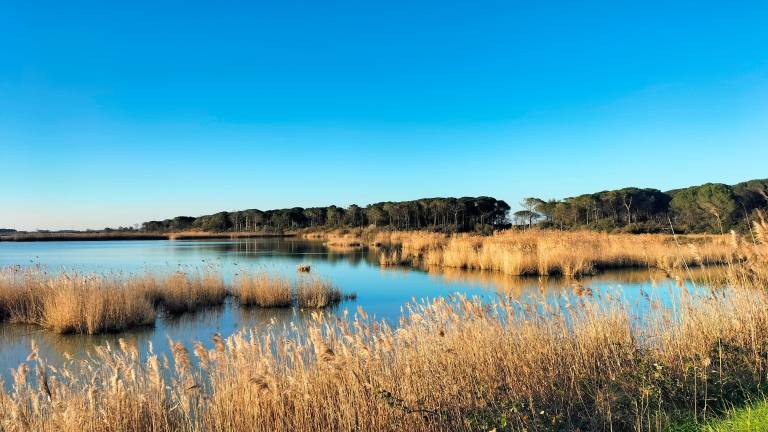 Ravenna, riserva Ortazzo-Ortazzino: dalla Regione un finanziamento di 200mila euro