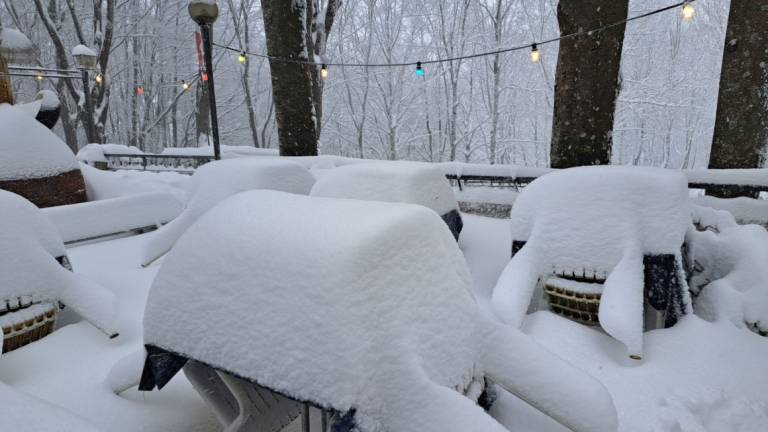 Mezzo metro di neve: Monte Fumaiolo imbiancato VIDEO