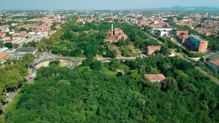 Forlì, ex Eridania, due esposti a Carabinieri forestali e Soprintendenza