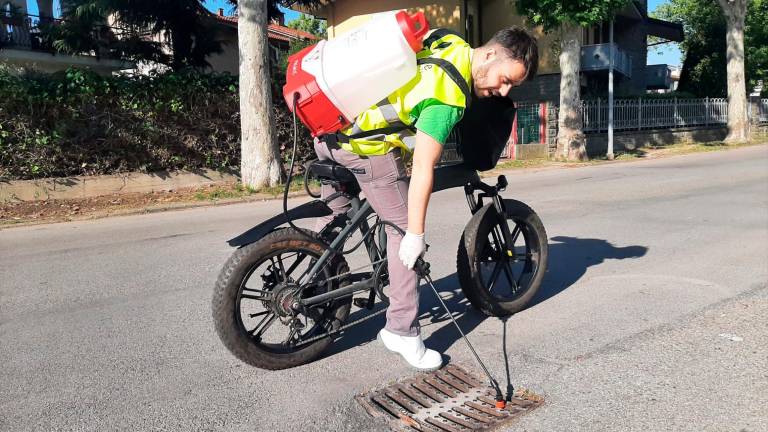 Cesenatico, zanzara tigre: via al trattamento antilarvale