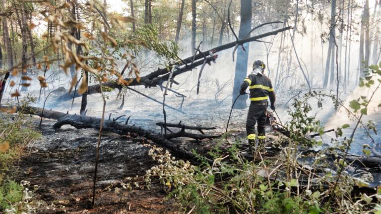 Ravenna, dieci anni dopo brucia ancora la pineta Ramazzotti. Due incendi nella notte