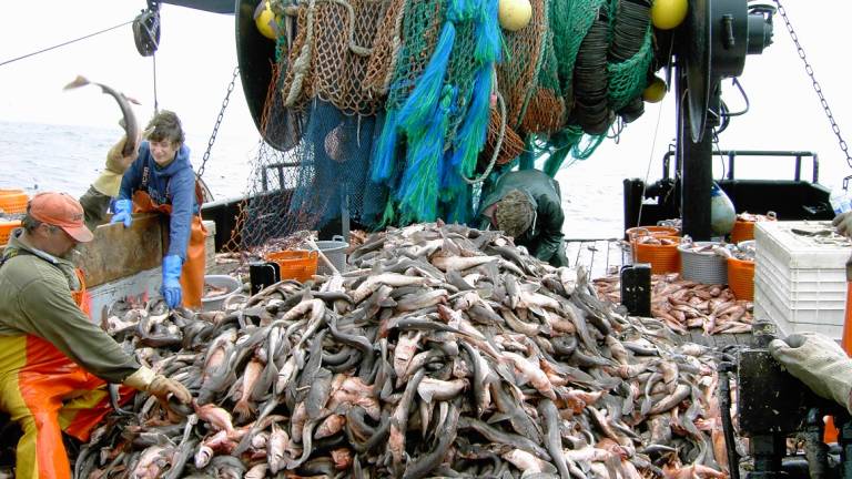 Pesca, in arrivo aiuti per 20 milioni di euro