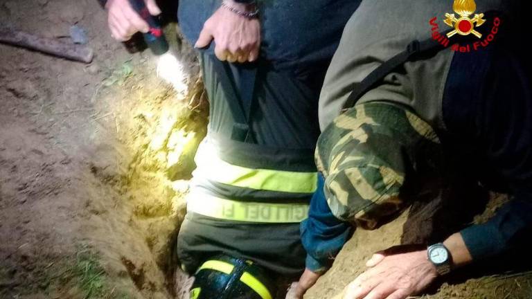 Savignano, il cane finisce incastrato in una tubatura: uno scavo di due metri per liberarlo