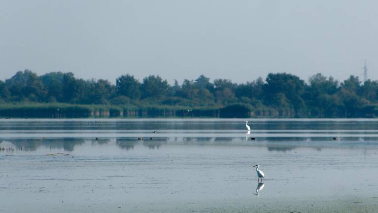 Ravenna, progetto per salvare la Valle della Canna