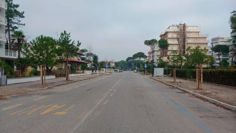 Cervia, in arrivo 1.600 nuovi alberi per rimediare ai danni della tromba d’aria