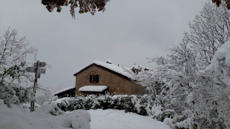 Meteo Romagna, l’Appennino imbiancato: oltre mezzo metro di neve sopra gli 800 metri VIDEO