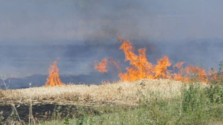 Imola. Incendio brucia 10 ettari di terreno