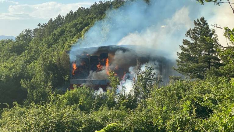 Sogliano: capannone a fuoco ai margini del bosco - VIDEO