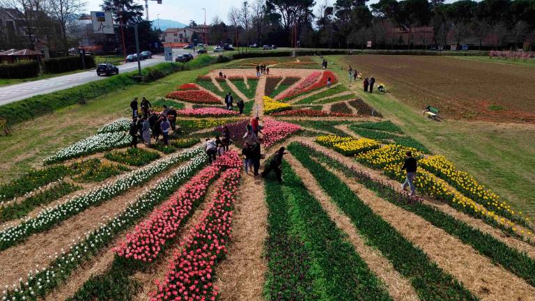 Cesena, apericena a Tulipandia: appuntamento a mercoledì 1° aprile