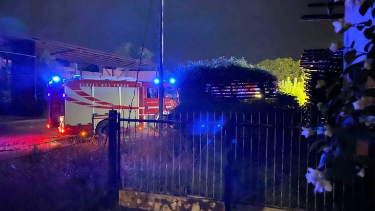 Cesena, cataste di legna a fuoco nel piazzale della ex sede Sacim