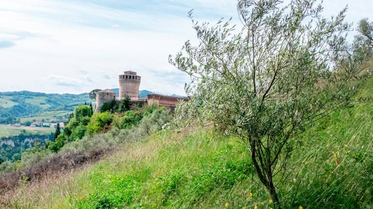 Uno scorcio di Brisighella