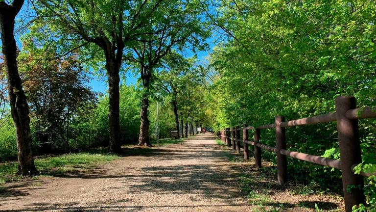 Cotignola, una domenica detox senza smartphone il 23 novembre al Parco Pertini