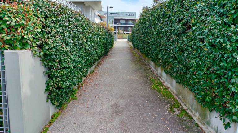 In alto il vicolo dove sono state trovate le esche, sotto due delle esche trovate dai residenti