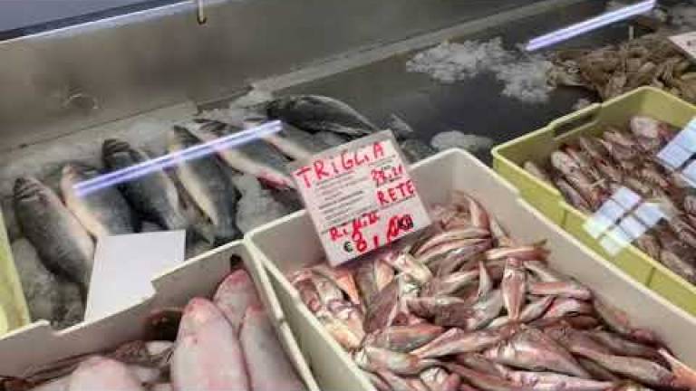 Torna il pesce sui banchi: file al Mercato coperto di Rimini VIDEO
