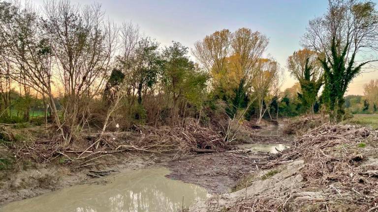 Lugo, “tagliate quella vegetazione negli alvei o si rischia un’altra alluvione”