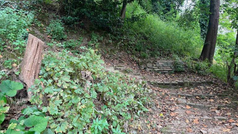 Cesena, il parco attorno alla rocca è una giungla: proteste