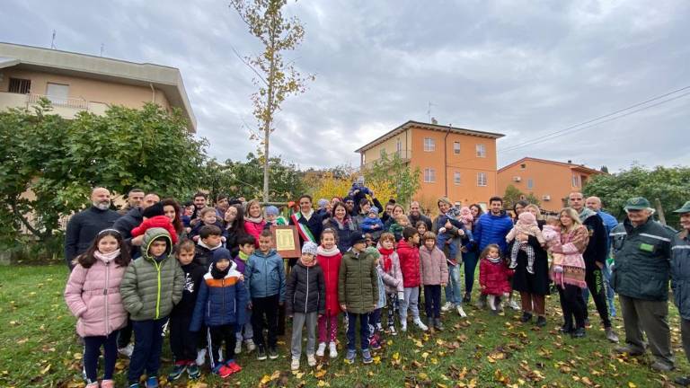 Verucchio, un albero per ciascuno dei 53 bimbi nati nel 2021 - Gallery