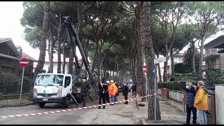 Cervia, operaio 44enne muore mentre pota gli alberi VIDEO GALLERY