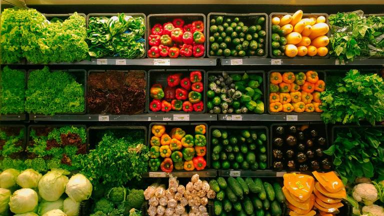 Imola, progetto “Un s’bóta veja gnét”: oltre 5 tonnellate di eccedenze alimentari donate nei primi 6 mesi del 2025