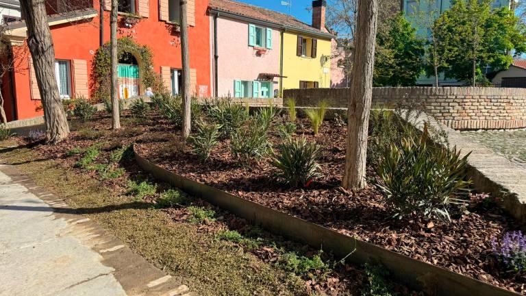 Cesenatico e cura del verde: dopo piazza delle Conserve, nei prossimi giorni via ai lavori ai Giardini al Mare