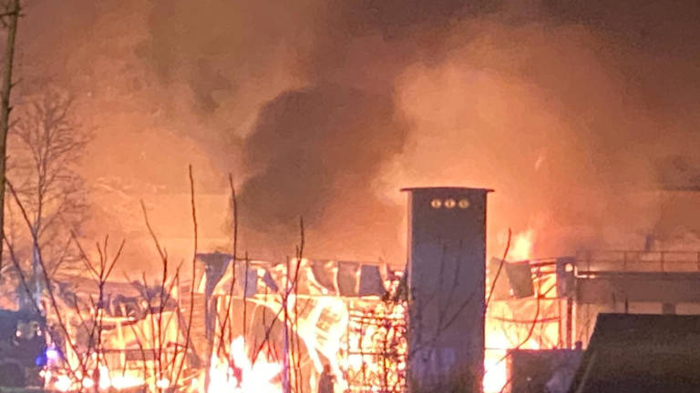Incendio a Cesena: a fuoco la Campomaggi Caterina Lucchi - I VIDEO