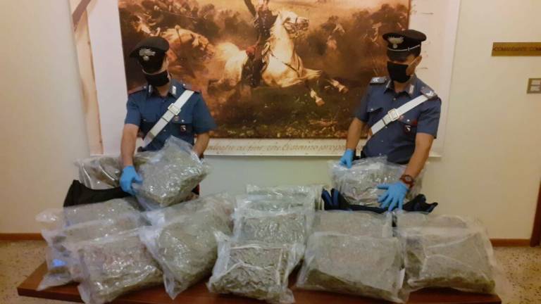 Carabinieri trovano 21 chili di marijuana su un'auto in sosta