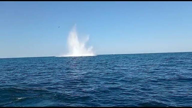 L'esplosione in mare aperto della bomba di Marina di Ravenna