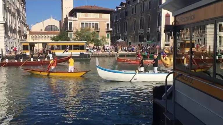 Venezia, rinoceronte di Rimini sfila in barca
