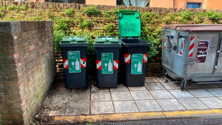Giovane vandalo: raid notturno in centro a Cesena