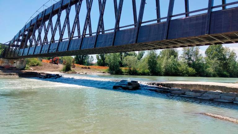 Rimini, una scala di risalita per anguille al parco Marecchia e arriva anche Rai Geo