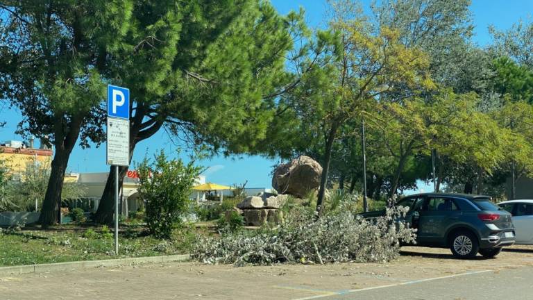 Cesenatico, divieto di accesso a Parco di Levante, Parco di Ponente e pineta di Zadina per lavori post-maltempo