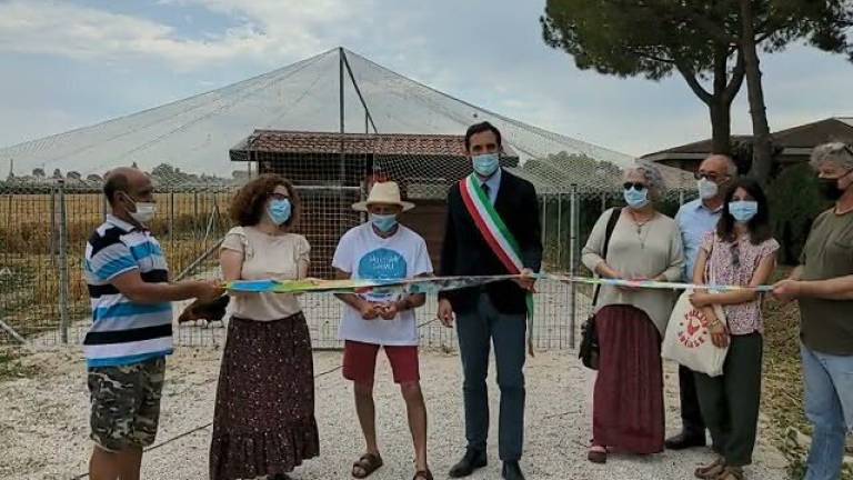 Adotta una gallina: inaugurato a Cesena il pollaio sociale Cils