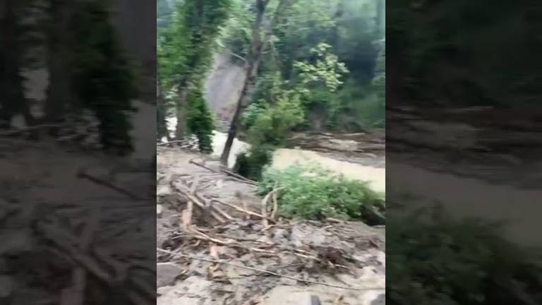 Linaro e la collina cesenate che crolla: Aiutateci, qui è un disastro VIDEO