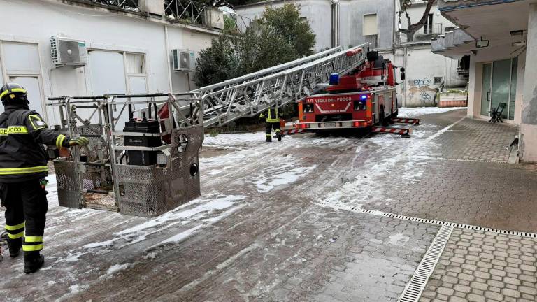 Rimini, grosso pino crolla a Marina Centro GALLERY