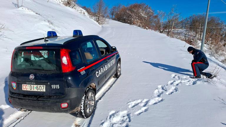 I Carabinieri Forestali in azione