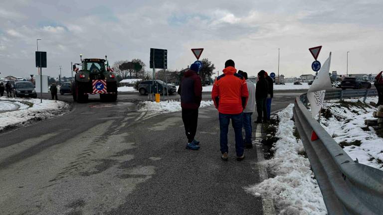 Gli agricoltori sono tornati a protestare con un presidio in un campo privato (Zanotti)