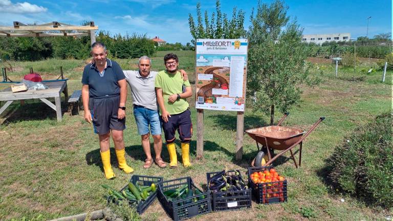 Rimini, da “Milleorti per il Turismo” oltre 500 chili di ortaggi per la Caritas di Riccione