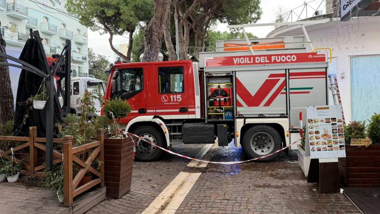 Rimini, grosso pino crolla a Marina Centro GALLERY