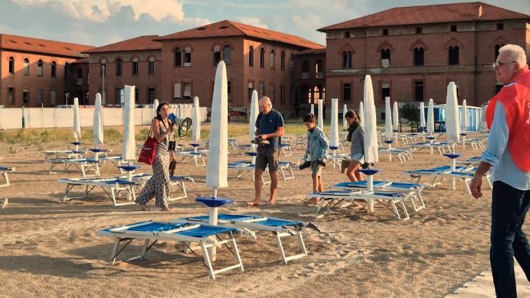Rimini. In 130 in spiaggia a difesa del fratino