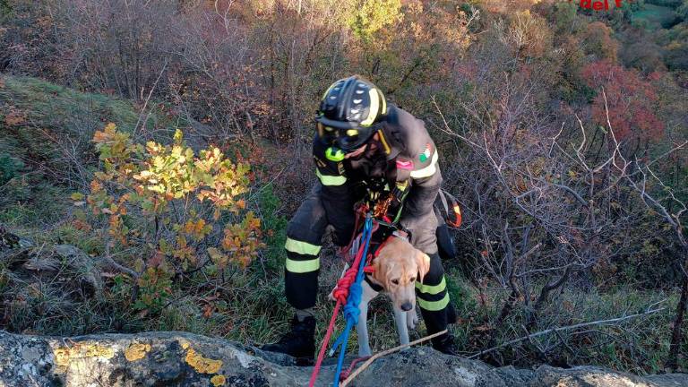 Valmarecchia. Cane precipita in un dirupo sul monte Pincio: salvato dai vigili del fuoco dopo 4 ore