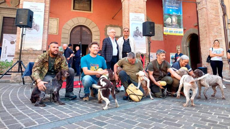 Sant’Agata Feltria, domenica Fiera del tartufo bianco, c’è anche la gara per cani GALLERY