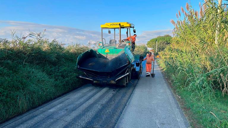 Cesenatico, asfalti, marciapiedi, pubblica illuminazione e verde pubblico: piano da 3 milioni, ecco le zone interessate