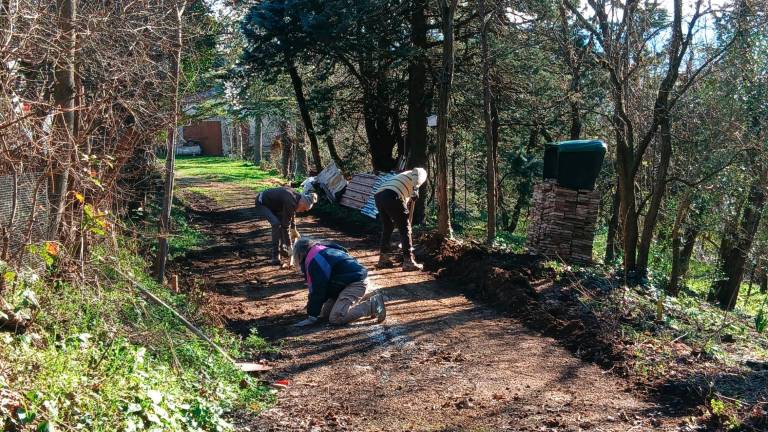 Alcuni volontari al lavoro dopo che la strada è stata liberata